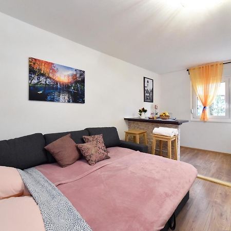 Studio Apartment Aneta Ζάγκρεμπ Εξωτερικό φωτογραφία