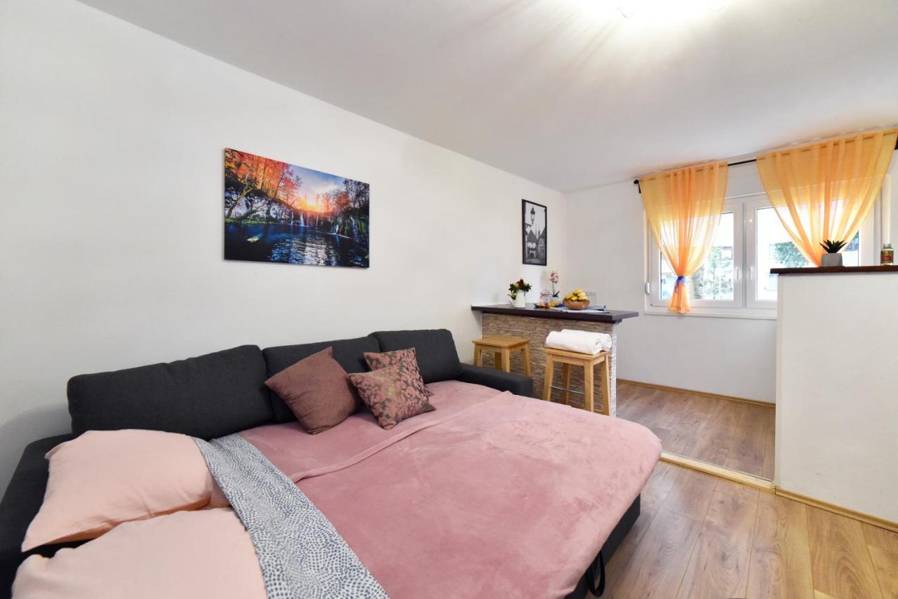 Studio Apartment Aneta Ζάγκρεμπ Εξωτερικό φωτογραφία