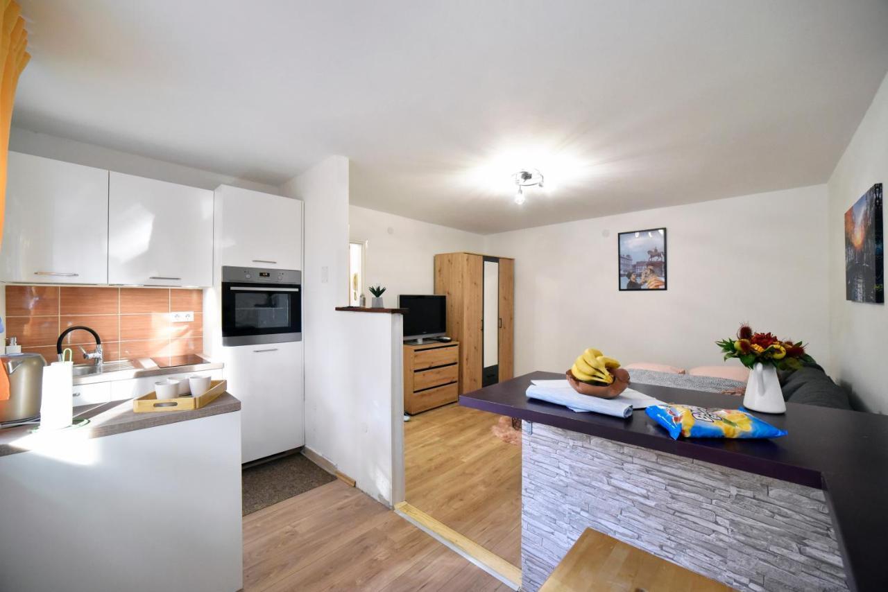 Studio Apartment Aneta Ζάγκρεμπ Εξωτερικό φωτογραφία